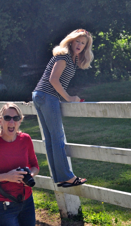 karen and carol in washington